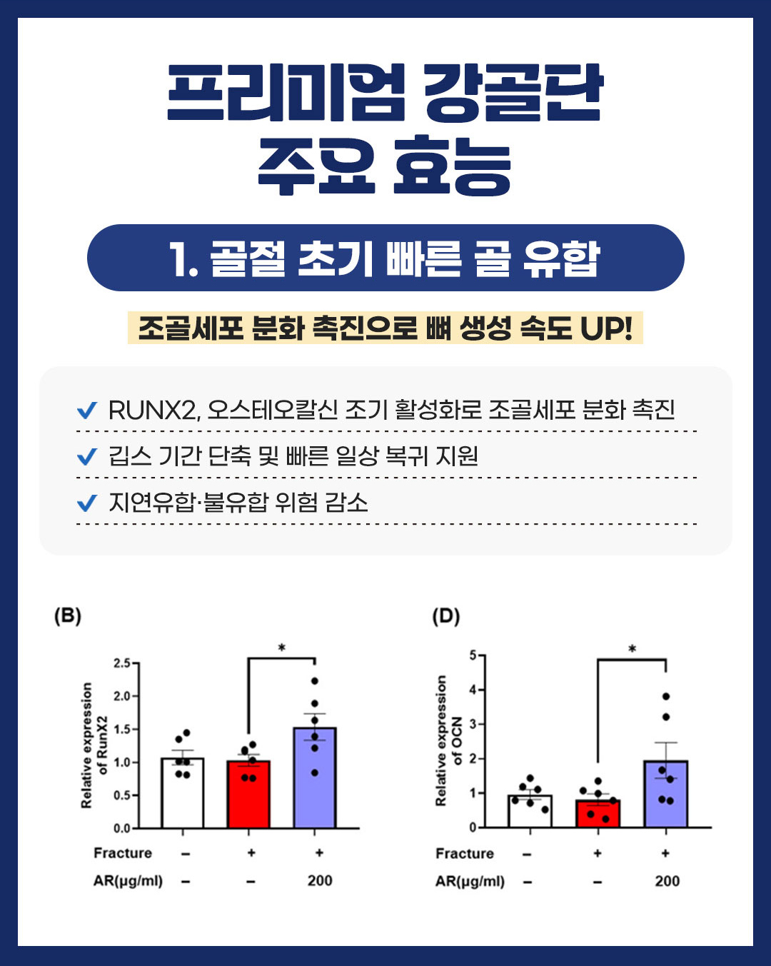 프리미엄 강골단이미지02