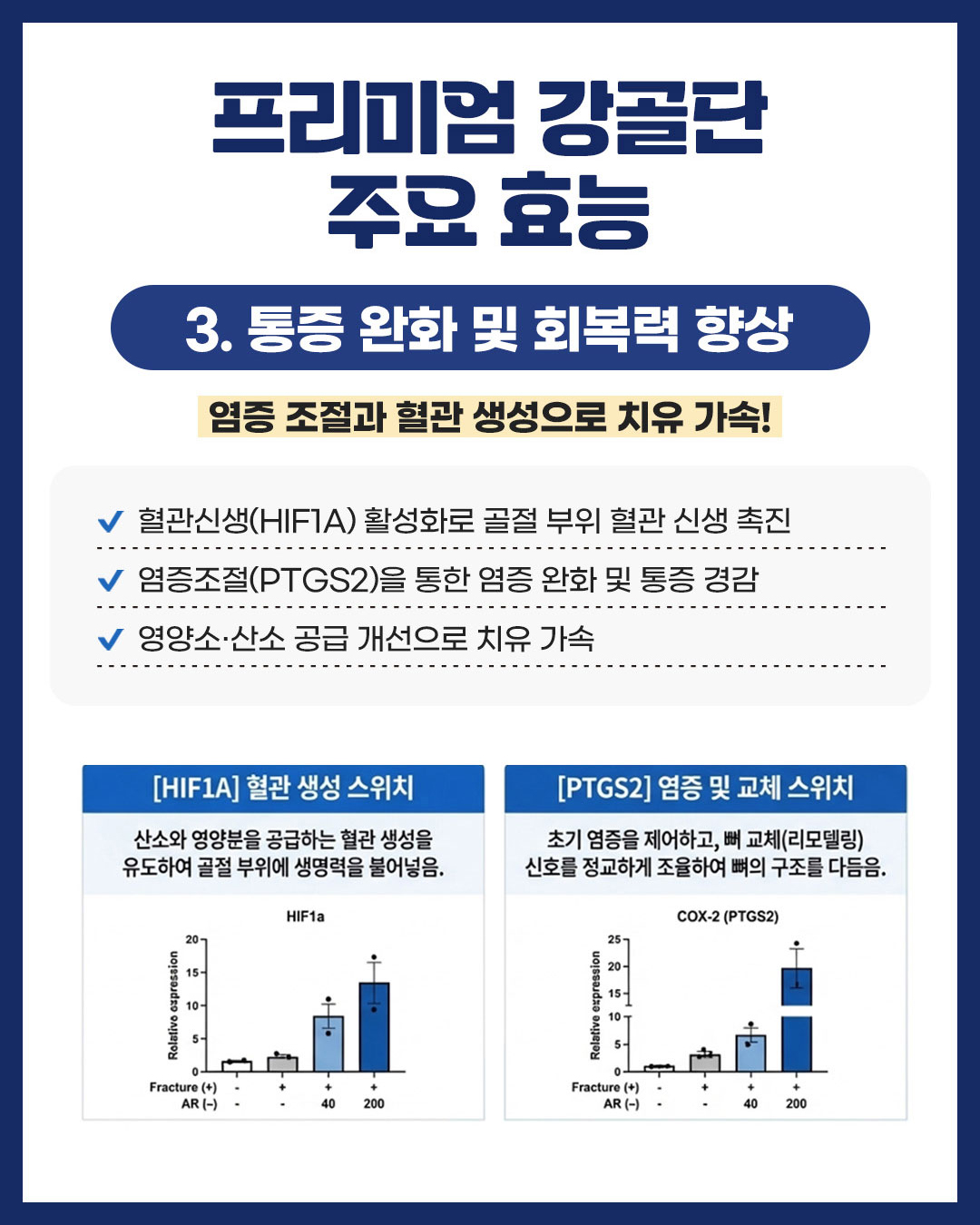 프리미엄 강골단이미지04